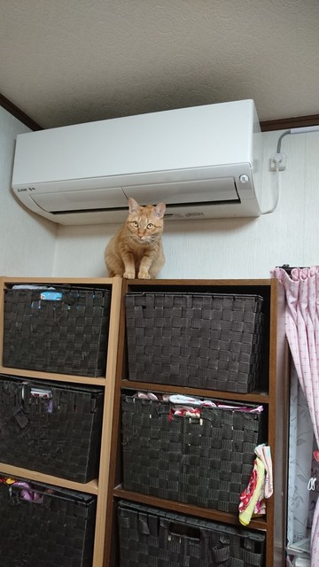 20190425223257.jpg