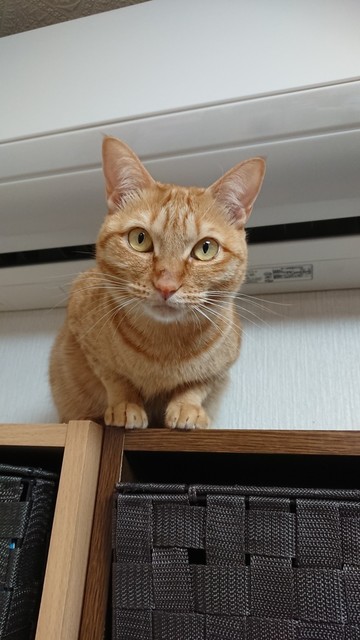 20190425223337.jpg
