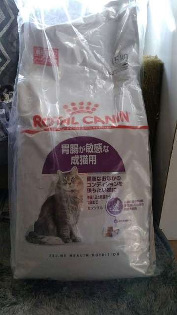 20190430172935.jpg