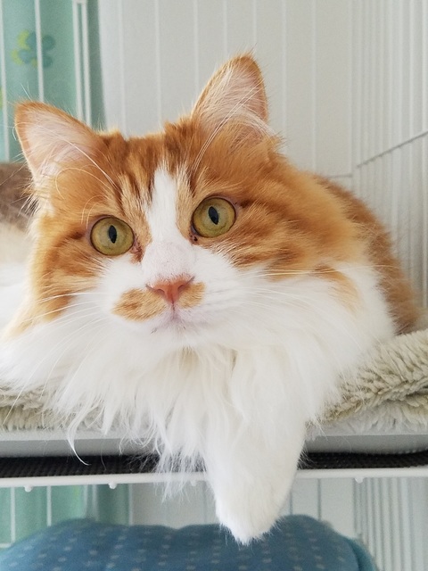 20190502_101522.jpg