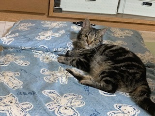 image1.jpeg