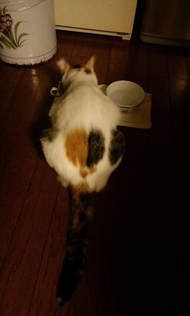 170529_2124~04.jpg