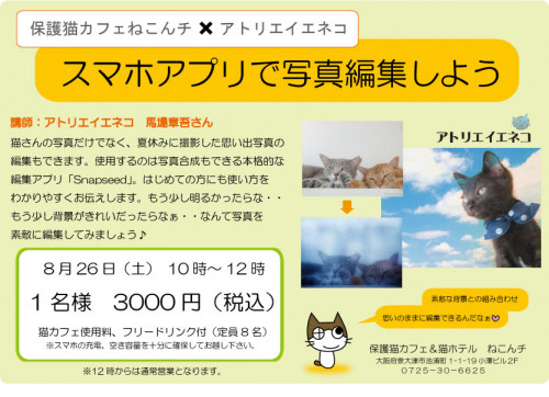 スマホ写真教室のご案内 高槻ねこの会 ねこのおうち