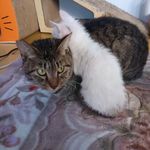 image/2018-01-01T12:39:59-1.jpg
