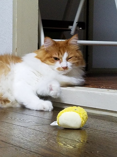 20190915_191925.jpg