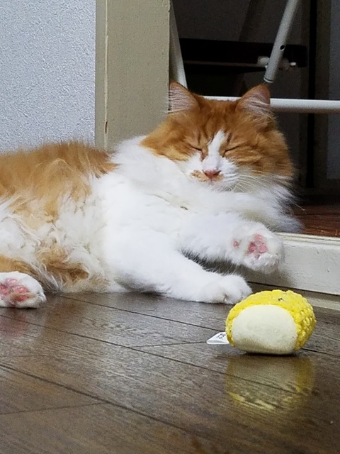 20190915_191950.jpg