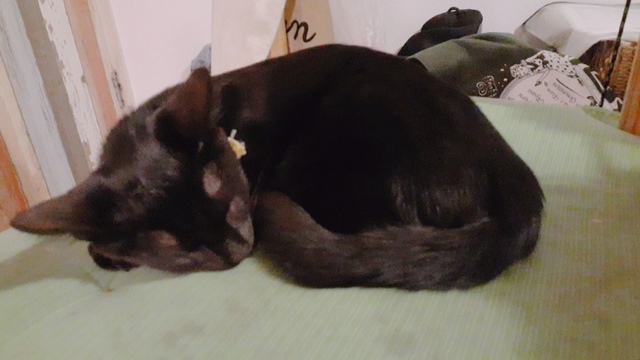 20191104_212334.jpg