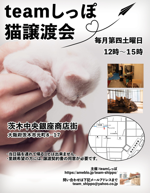 チームしっぽ譲渡会チラシ.jpeg