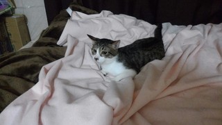 IMG_20171125_201919.jpg