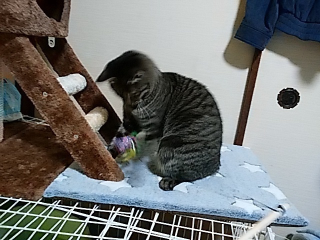 IMG_20190108_081425.jpg