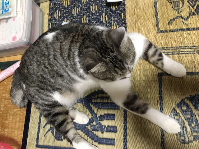 Image-2.jpeg