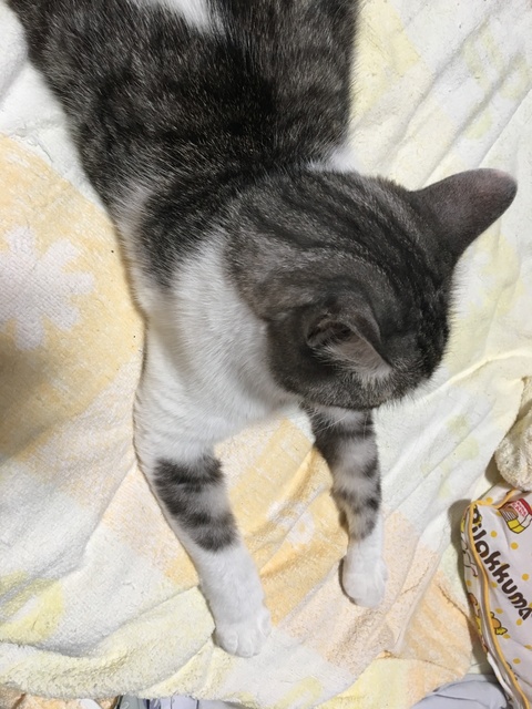 Image.jpeg