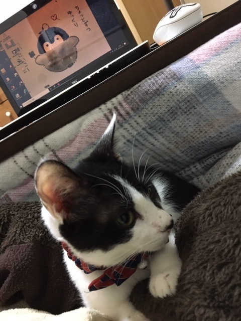 image1.jpeg