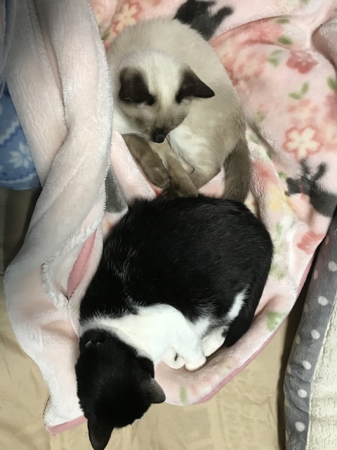 image1.jpeg