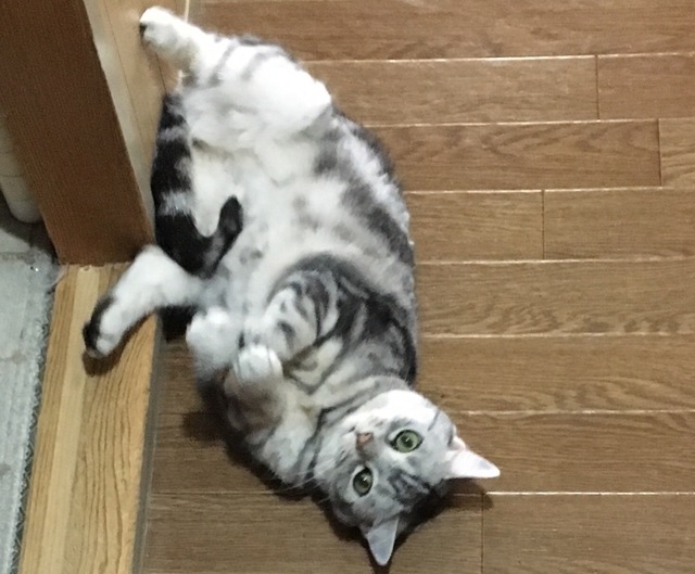 image10.jpeg