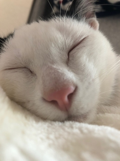 image10.jpeg