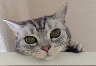 image11.jpeg