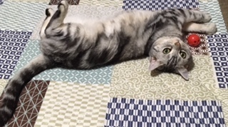 image13.jpeg