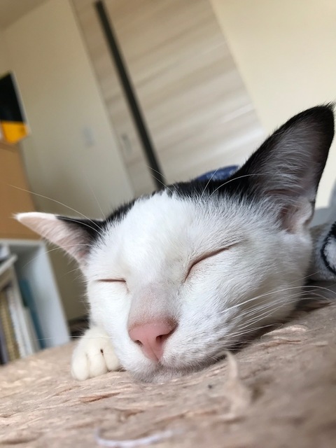 image14.jpeg