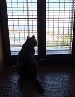 image14.jpeg