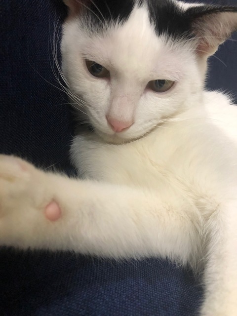 image16.jpeg