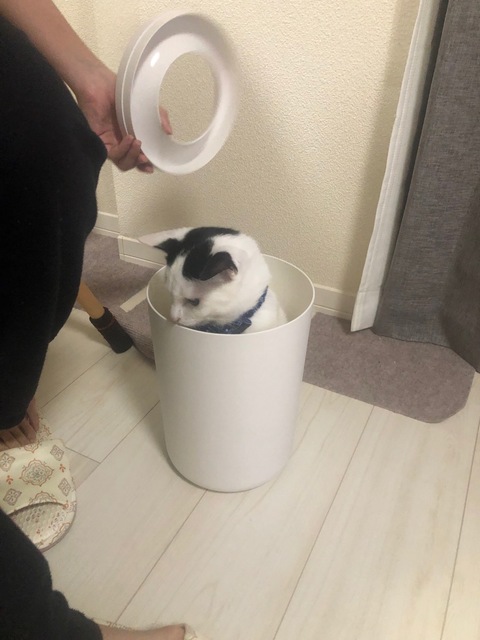 image17.jpeg