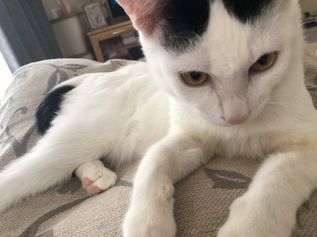 image18.jpeg