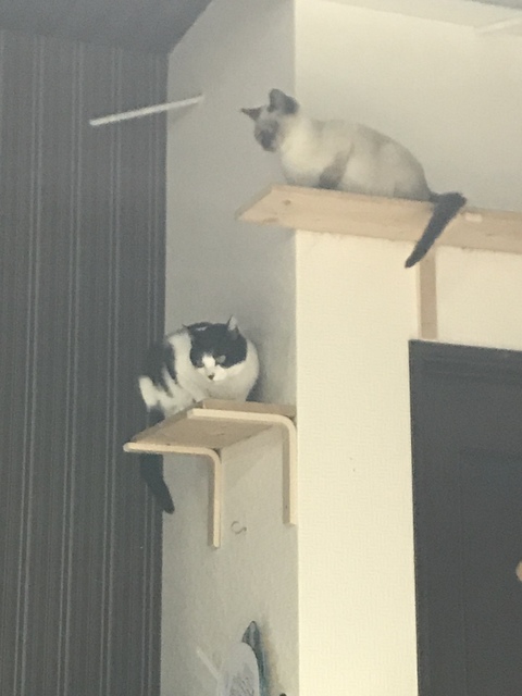 image2.jpeg