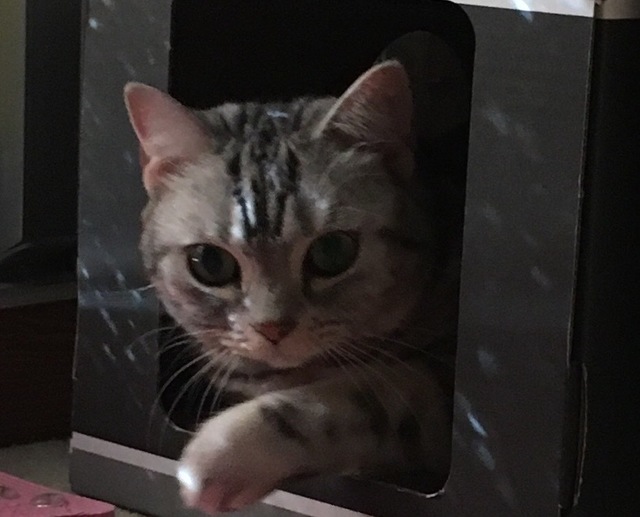 image3.jpeg