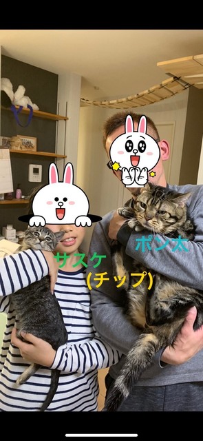 image3.jpeg