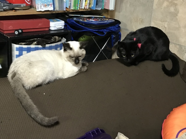 image3.jpeg