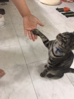 image31.jpeg