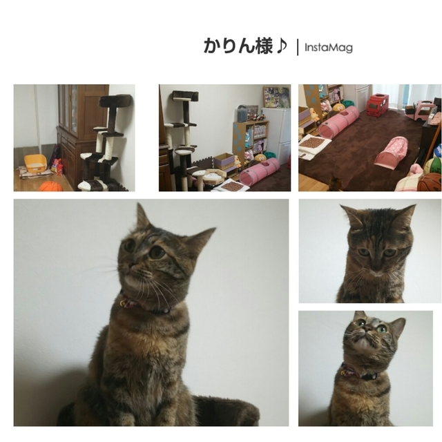 img1496047910956.jpg