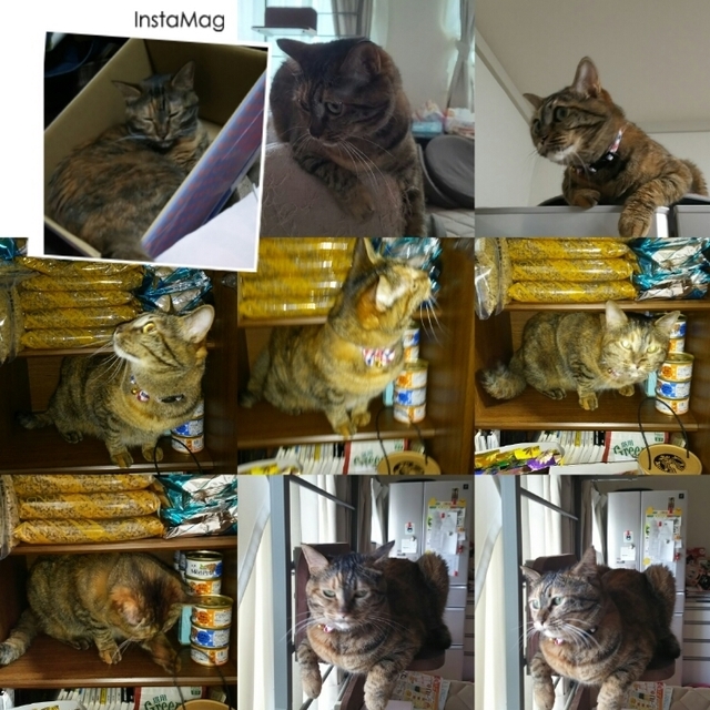 img1501063367505.jpg